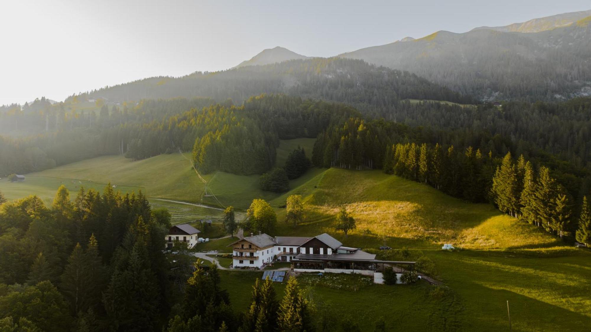 Bio-Bergbauernhof Weger Lägenhet Dellach  Exteriör bild
