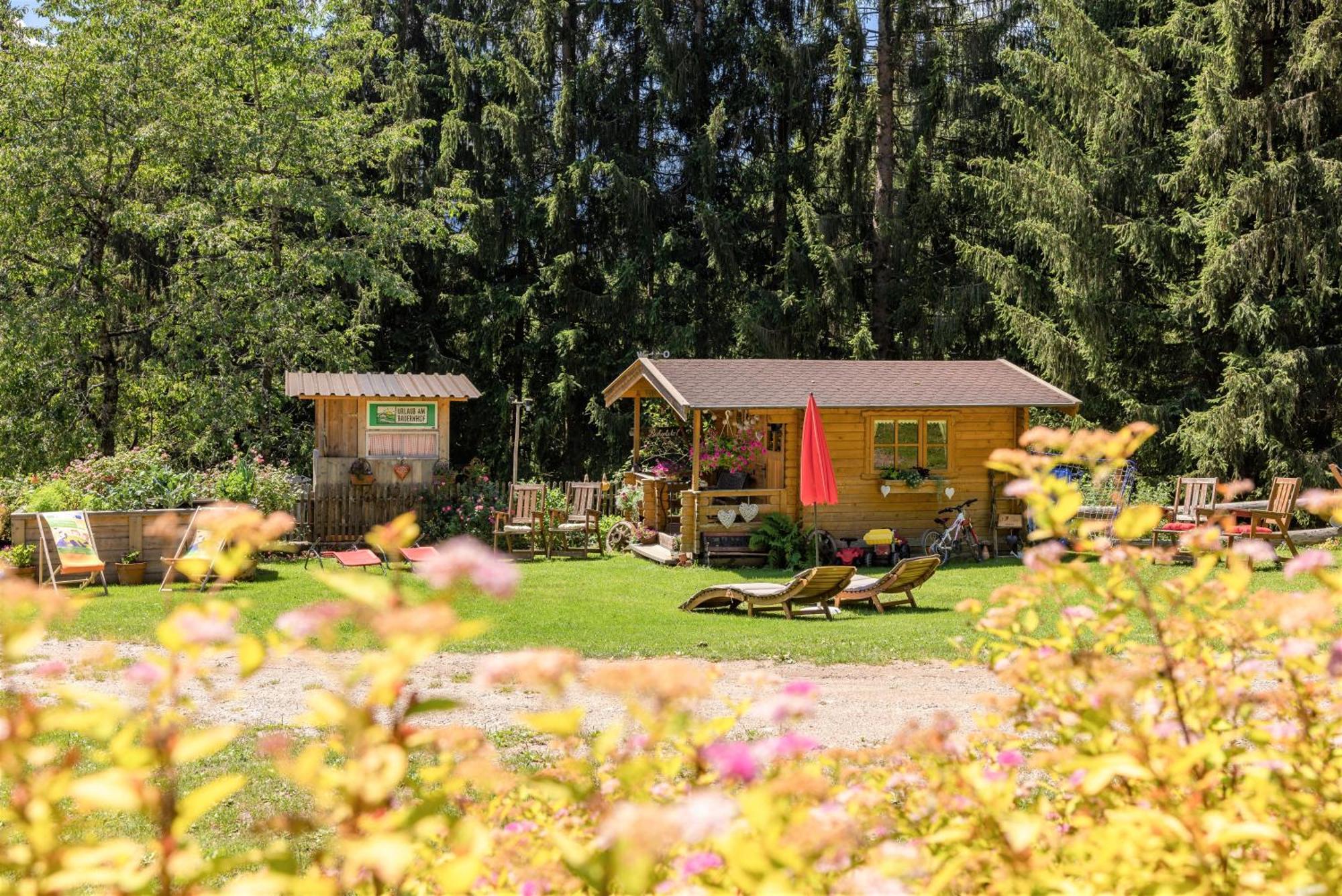 Bio-Bergbauernhof Weger Lägenhet Dellach  Exteriör bild